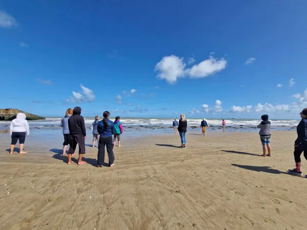 Secrets de nature : balade bota sophro bord de mer