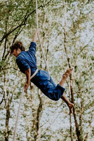 Plonger dans les arbres