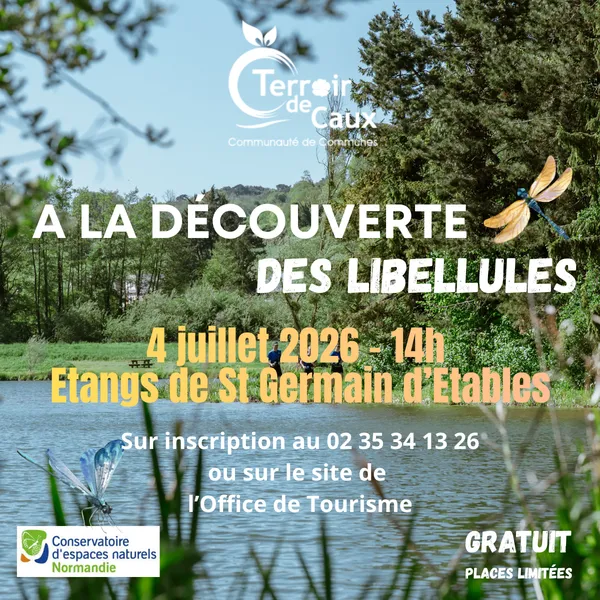 A la découverte des libellules