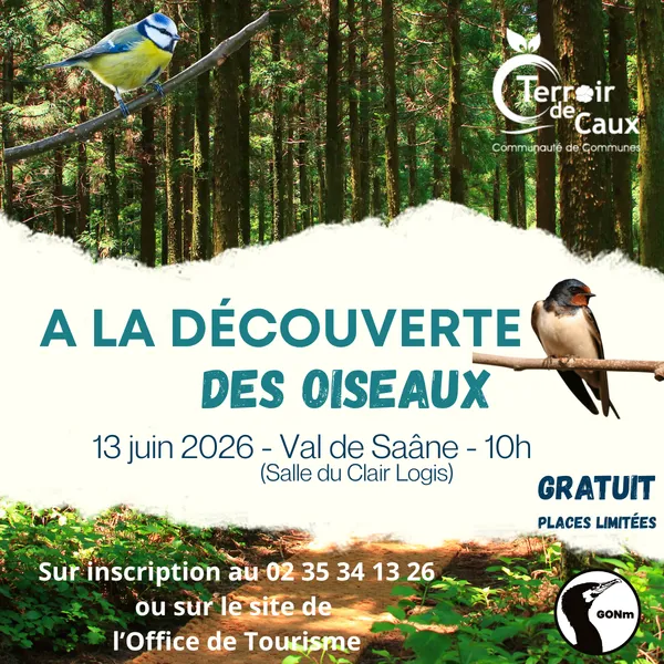 A la découverte des oiseaux