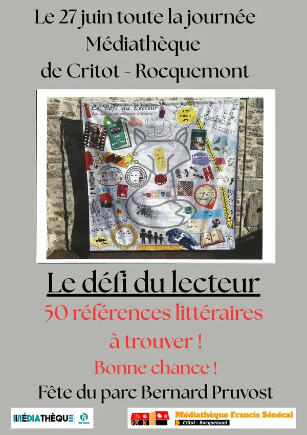 Le défi du lecteur