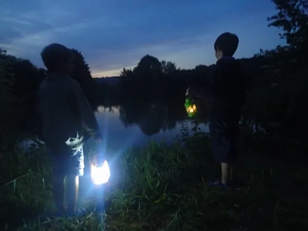 Animation nature - insectes nocturnes