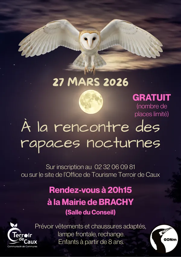 COMPLET - A la découverte des rapaces nocturnes