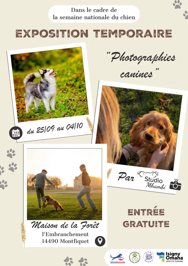 Exposition temporaire "photographies canines"