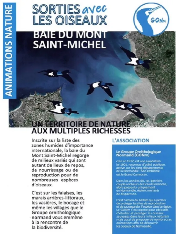 Promenade ornithologique sur les rives du Couesnon, roselières et marais