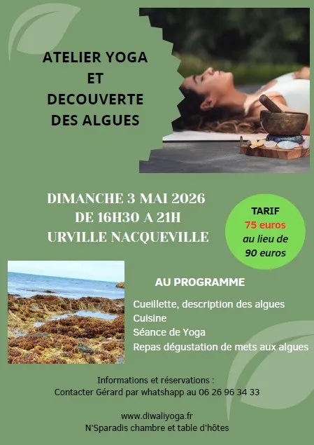 Atelier Yoga ,Cueillette ,cuisine et dégustation des Algues