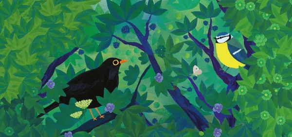 Exposition « Observons les oiseaux »