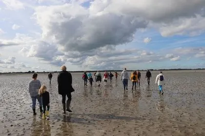 Baie des Veys : ses oiseaux, ses phoques