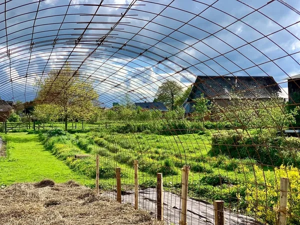 Tous au potager