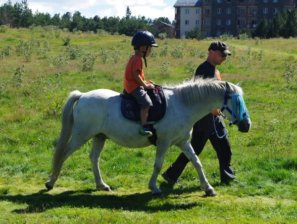 Equidays - Baptêmes Poney aux Ecuries du Littoral