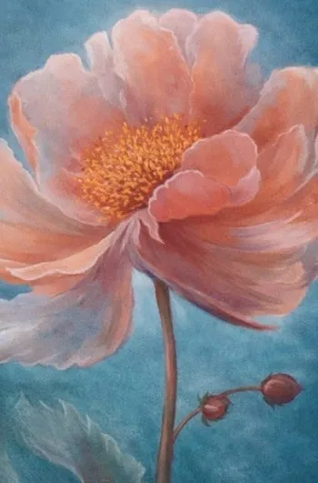Exposition : Beauté de la nature