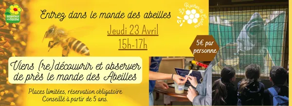 Visite abeilles & Bee-Box