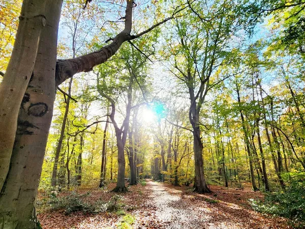 Les Promenades musicales du Pays d'Auge - La Démesure du pas
