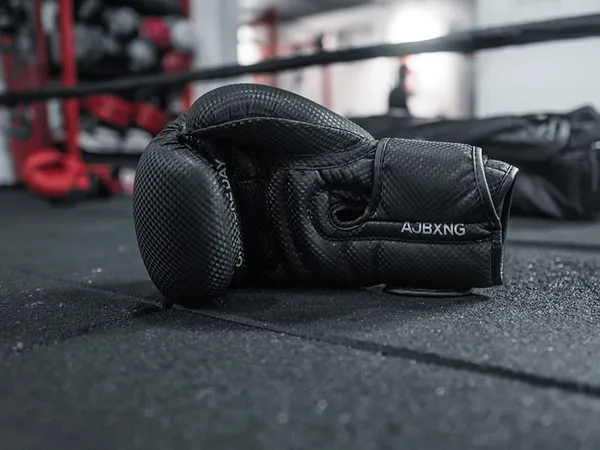 Gala de boxe Palatina