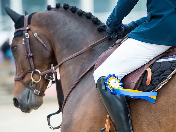 National Hunter FFE - Horse Master