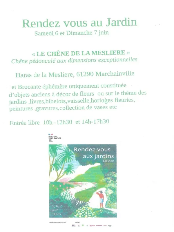 Rendez vous aux jardins : Visite du Chêne de la Meslière