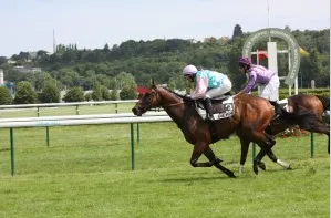 [Courses hippiques] Plat · réunion premium