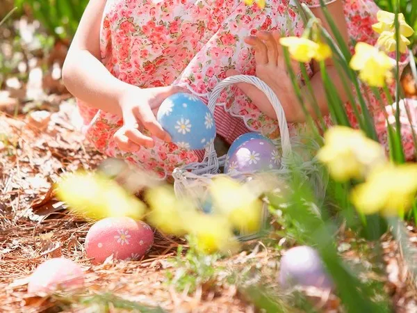 Chasse aux oeufs