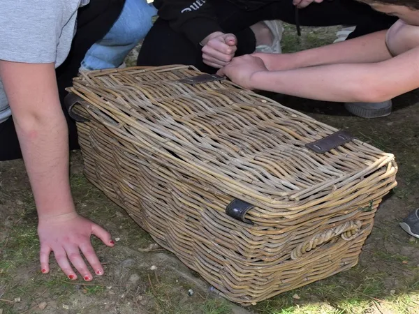 Chasse aux trésors
