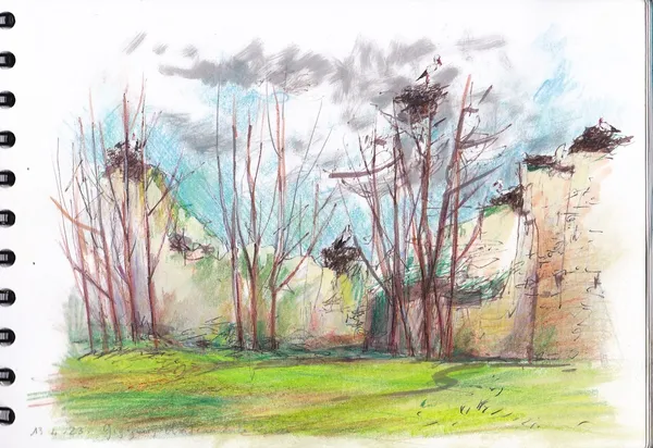 Croquis de terrain au château des cigognes