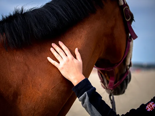 Week-end du Réformé des courses de galop