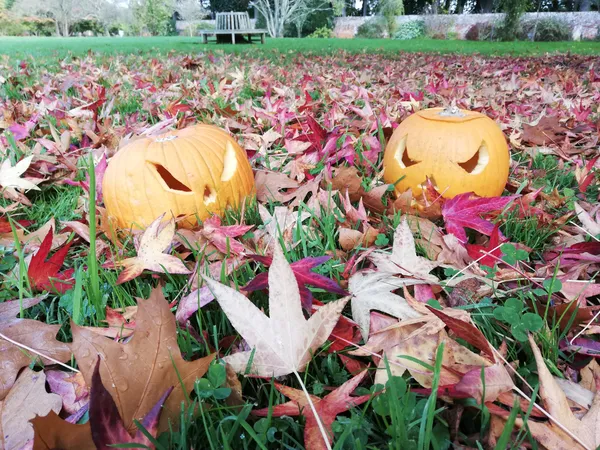 [Atelier famille] Fabrique ta citrouille d'Halloween