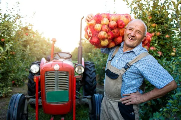 Comice agricole du Pays d'Auge