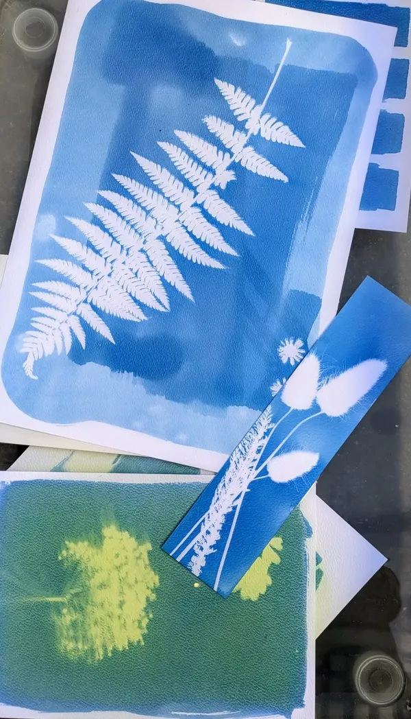 Atelier photographie au cyanotype - Ferme-musée du Cotentin