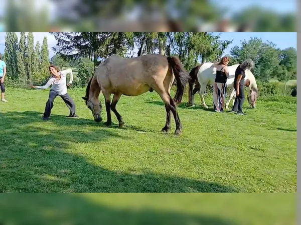 Danse libre avec et sans Cheval