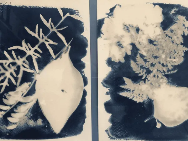 Atelier familles - Cyanotype et chlorotype
