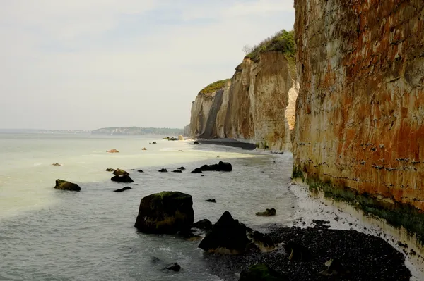 [Balade nature] Découverte de la biodiversité