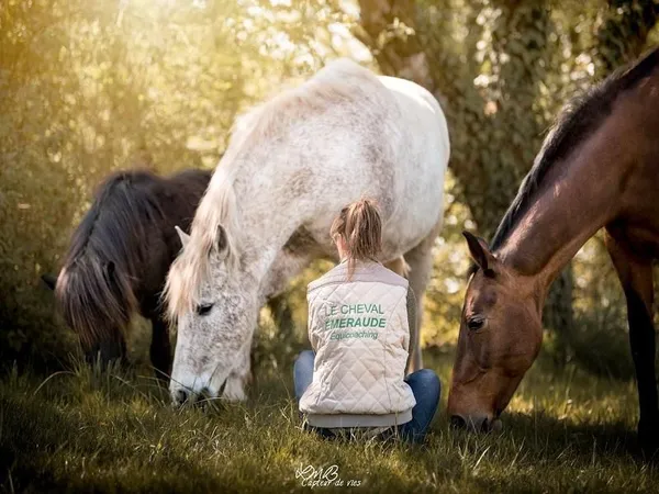 Vacances d'été au Cheval Emeraude
