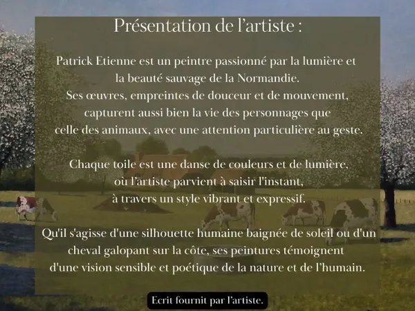 Média additionnel 1