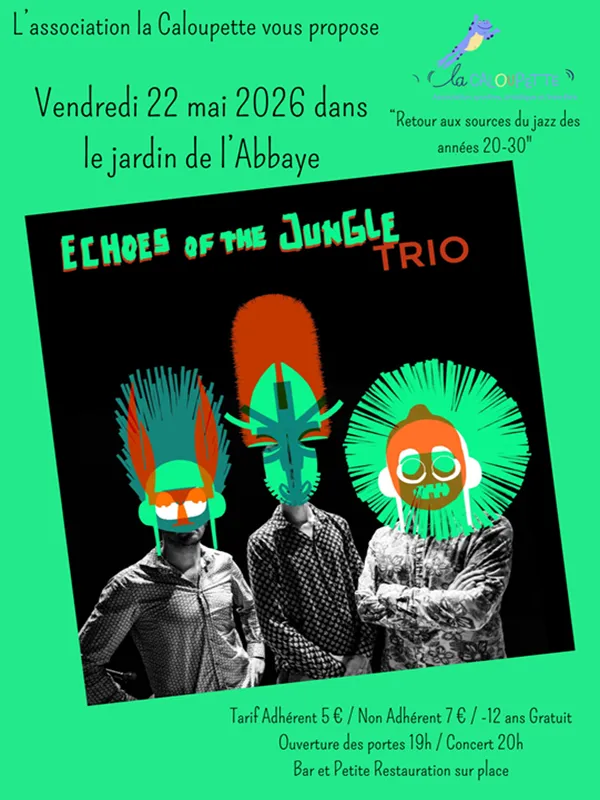 Concert "Echoes of the jungle trio"