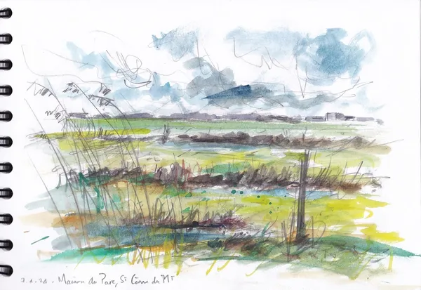 Croquis dans les marais