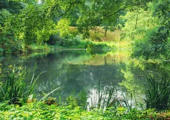 [Balade nature] Autour des étangs d'Arques-la-Bataille