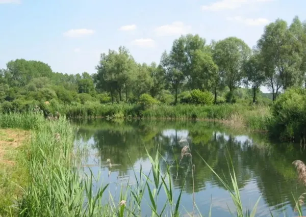 Chasse aux trésor à l'étang de Nesle-Normandeuse