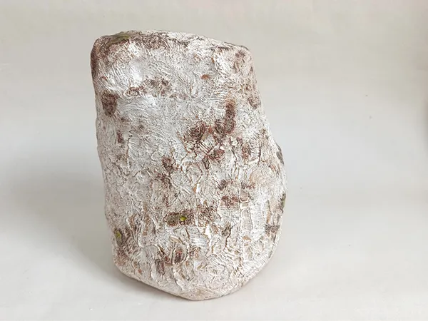 Journées nationales des artistes - Exposition : "Le souffle de la terre"