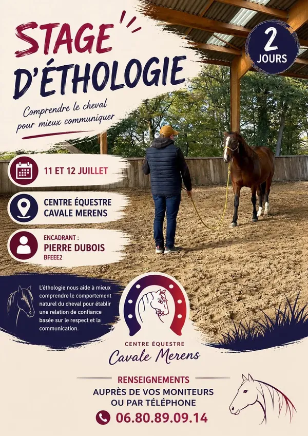 Stage d'équitation - Ethologie