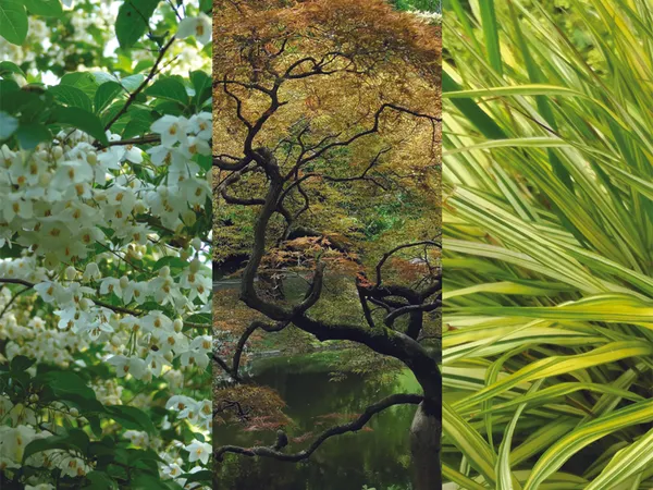 Fête des Plantes : Entre ville et jardin