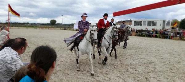 Fête du cheval
