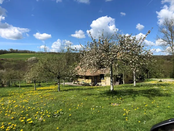Visite guidée de la Forêt Jardin des Hayes