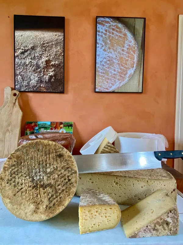 Visite de la ferme et dégustation de fromages