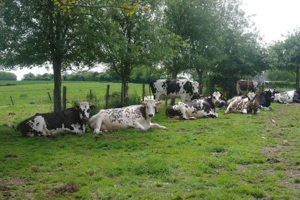 Portes ouvertes et inauguration de la ferme pédagogique