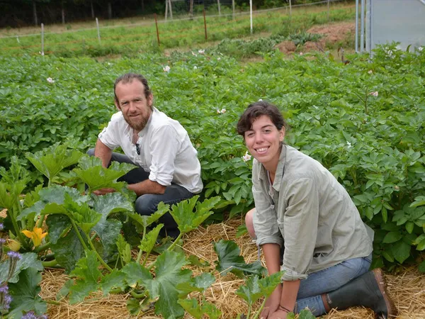 Vente de légumes par "Les Jardins d'Orion"