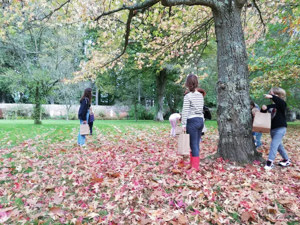 [Activité enfant] Chasse aux bonbons d'Halloween