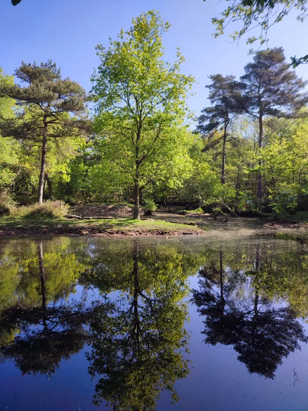 [Evènementiel Nature] Escape Game Nature - Le mystère des mares du Bois des Communes