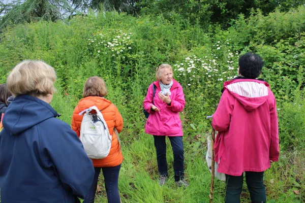 Sortie nature avec Plantes et Fruits Brayons