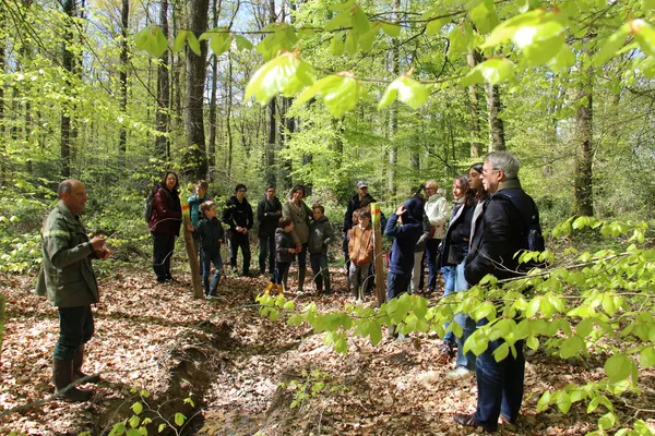 Jouer aux apprentis forestiers ! immersion numérique au cœur de la forêt 
