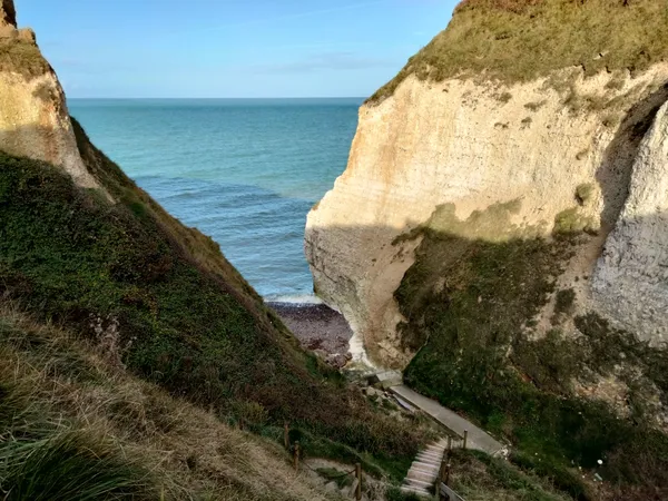 [Randonnée] Découverte de la biodiversité à Varengeville-sur-Mer : entre falaises, sous-bois et horizons marins
